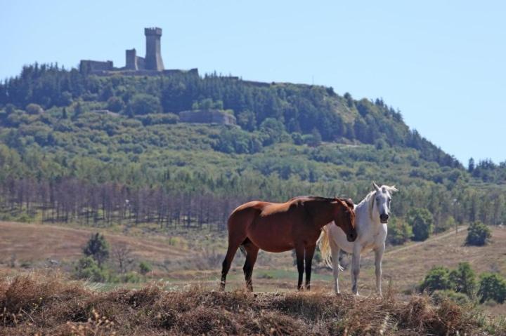 Casa Bandino Apartment Campiglia d'Orcia ภายนอก รูปภาพ